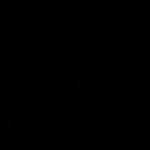 Meet your Posher, Maggie